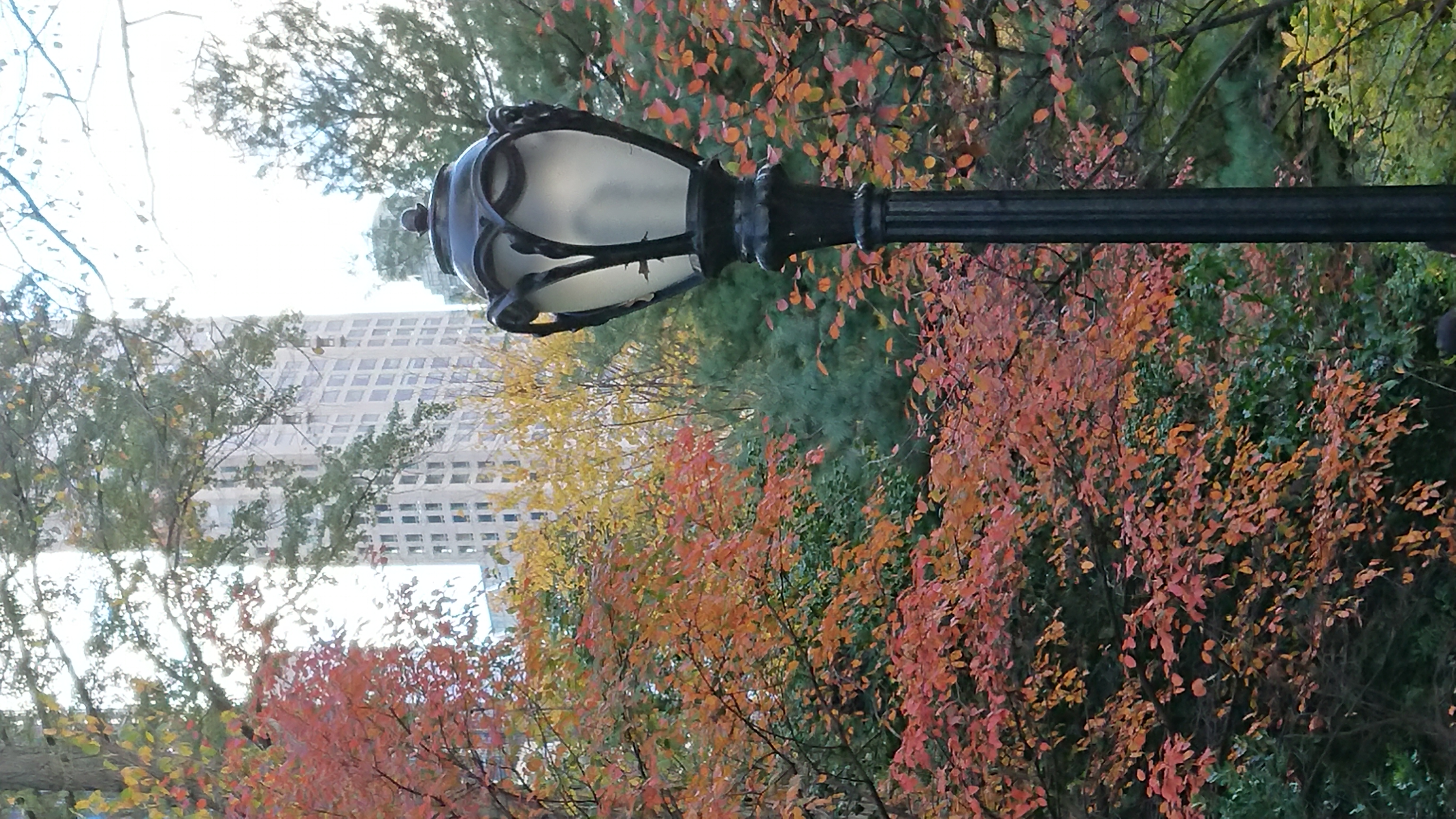 CP-lamp